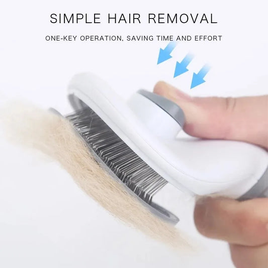 Self-Cleaning Brush + Luminescent Flow