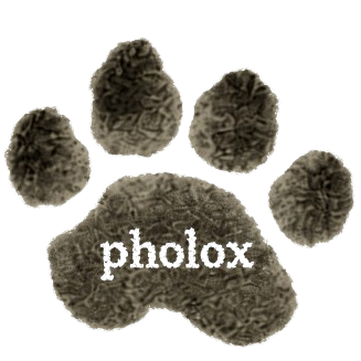 Pholox